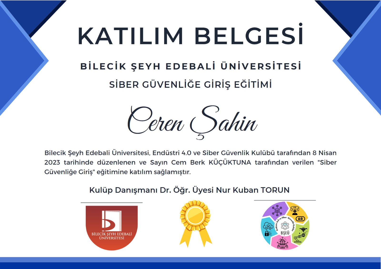 siber-g-veli-e-giri